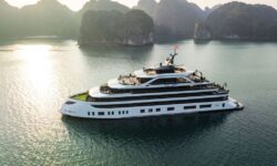 Tulip Cruise 2 days/1 night