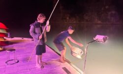 Squid Fishing