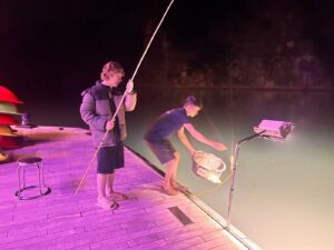 Squid Fishing